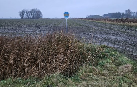 Akkerbouwgrond nabij Dijksterpad , Pieterburen