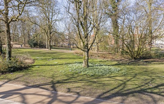 Nieuwe Boteringestraat 71, Groningen