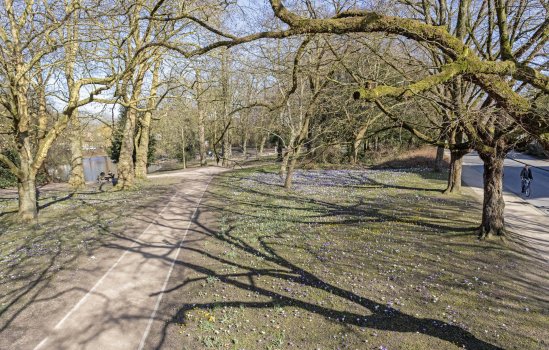 Nieuwe Boteringestraat 71-a, Groningen