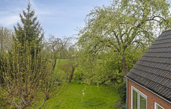 Oosterstraat 20, Sauwerd