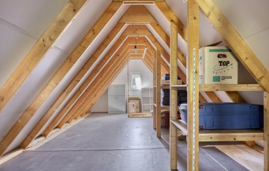 Oosterstraat 20, Sauwerd