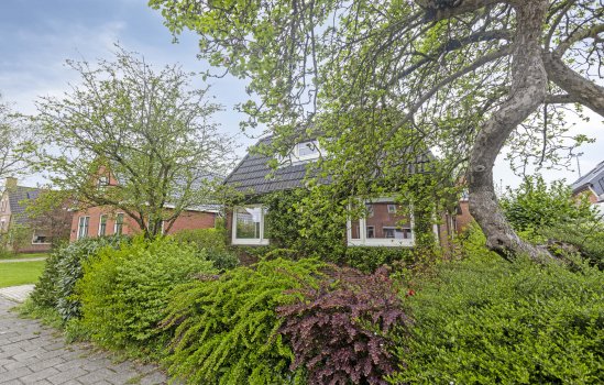 Oosterstraat 20, Sauwerd