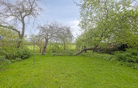 Oosterstraat 20, Sauwerd