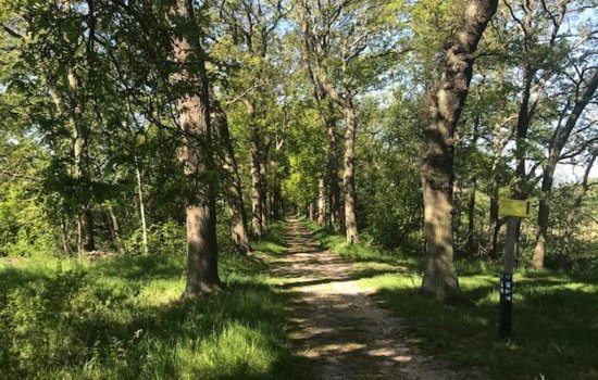 Oudeweg 69, Westerbroek