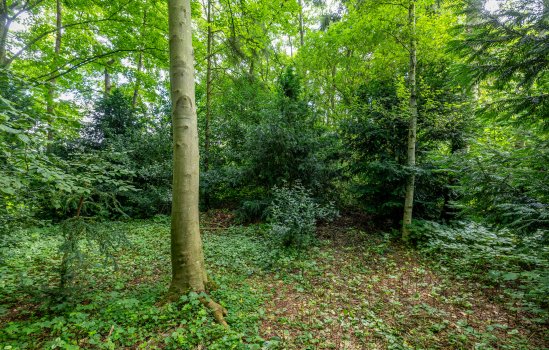 Oudeweg 69, Westerbroek