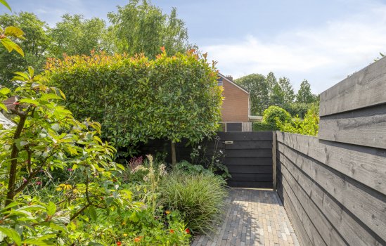 Schelfhoutstraat 16, Groningen