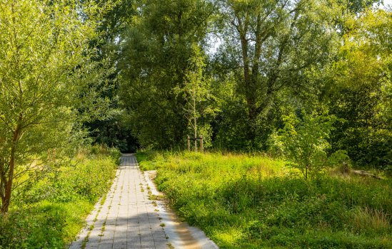 Engelse Park 34, Groningen