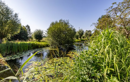 Donkerslaan-Zevenhuizen 29, Harkstede