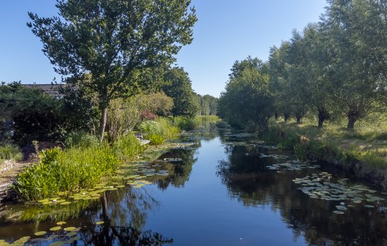 Donkerslaan-Zevenhuizen 29, Harkstede