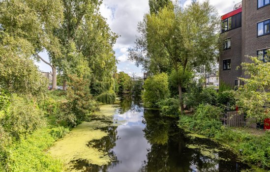 Hereweg 134, GRONINGEN