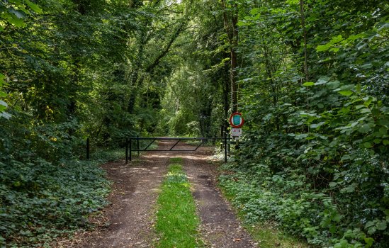 Dennenlaan 3, ZUIDLAREN