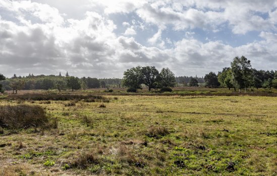 Lheebroek 29, DWINGELOO