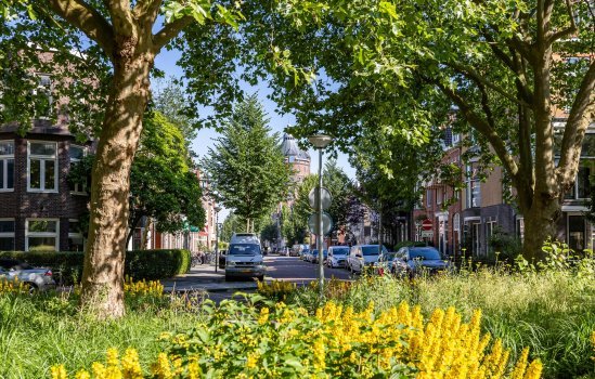 H.W. Mesdagplein 12-a, GRONINGEN