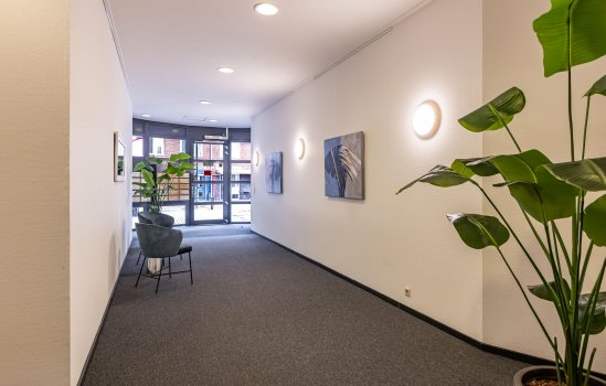 De Brinken 45, HAREN GN