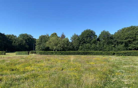 Rijksstraatweg 0-ong, GLIMMEN