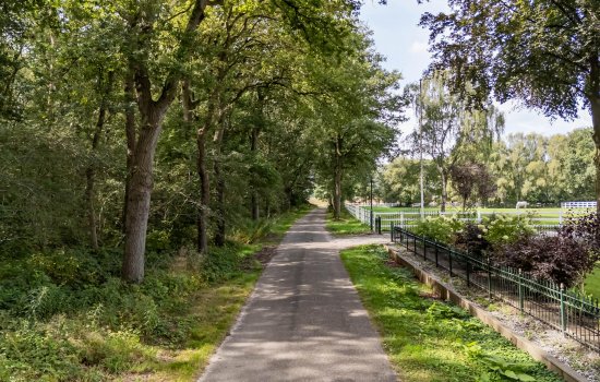 Tolhuisweg 55, MIDLAREN