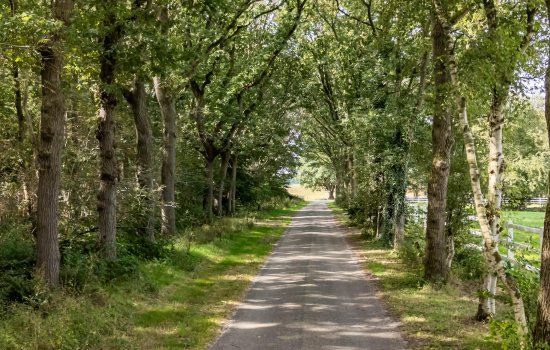 Tolhuisweg 55, MIDLAREN