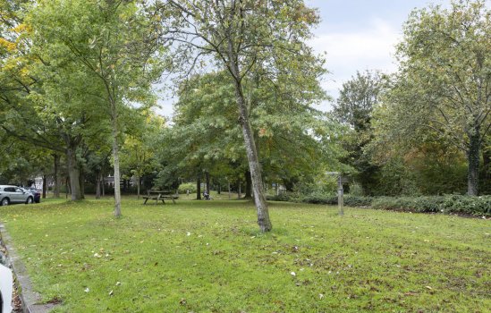 Koninginnelaan 52, Groningen