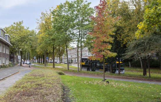 Koninginnelaan 52, Groningen