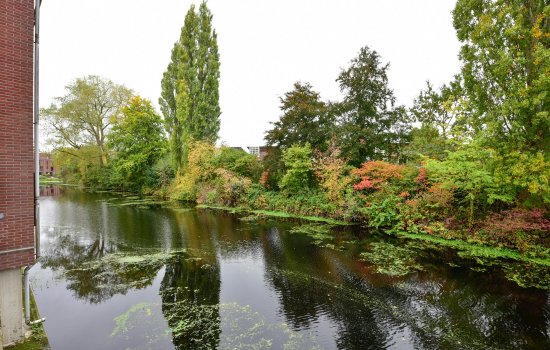 Helperveste 37, GRONINGEN