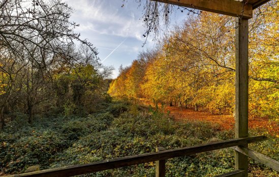 Eikenlaan 62, KOLHAM