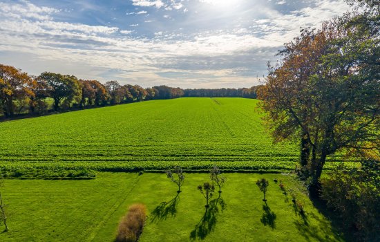 Zeegserweg 4, TYNAARLO