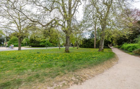 Kamerlingheplein 5, GRONINGEN