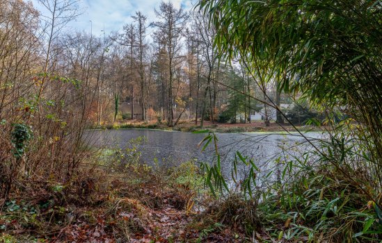 Villapark 1, TYNAARLO