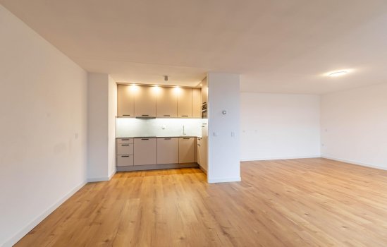 Brinkhorst 53, HAREN GN