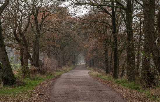 Langakkers 15, SCHIPBORG