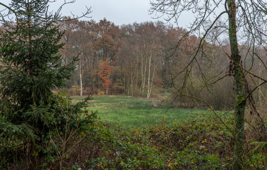 Langakkers 15, SCHIPBORG