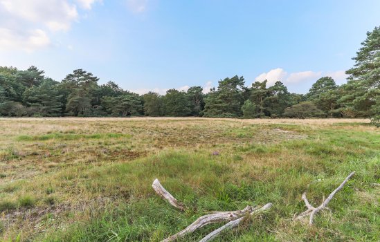 Langakkers 15, SCHIPBORG