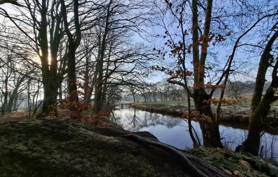 Langakkers 15, SCHIPBORG