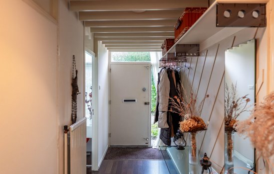 Albert Schweitzerplantsoen 38, RODEN