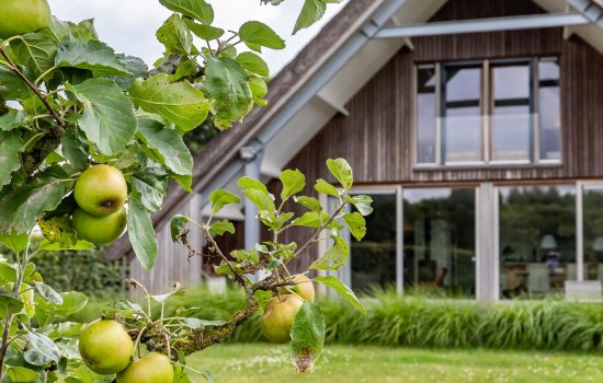 Minister Cremerstraat 10, ZEIJEN