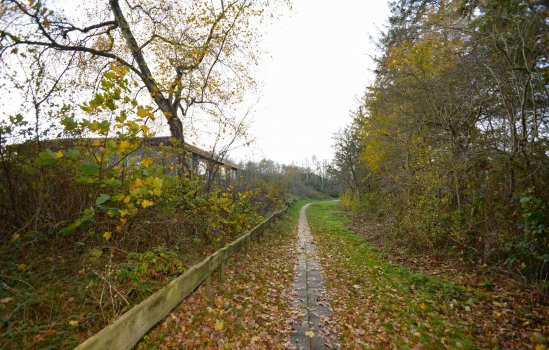 Louwvlakte 8, SCHIERMONNIKOOG