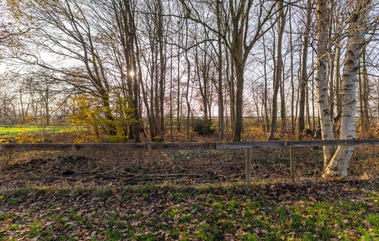 Vrouwenlaan-voor 18, Kolham