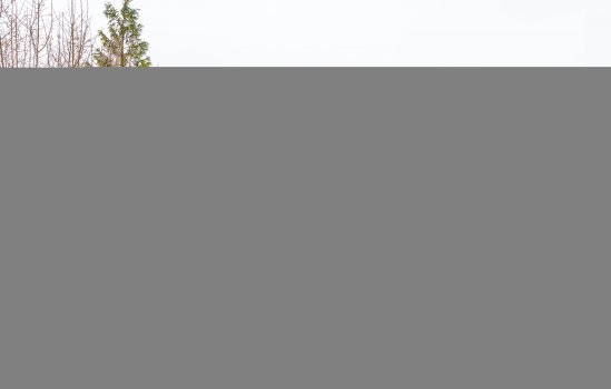 Schout de Boerstraat 1, Ten Boer