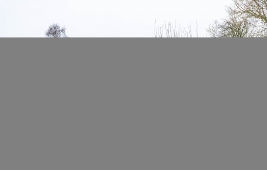 Schout de Boerstraat 1, Ten Boer