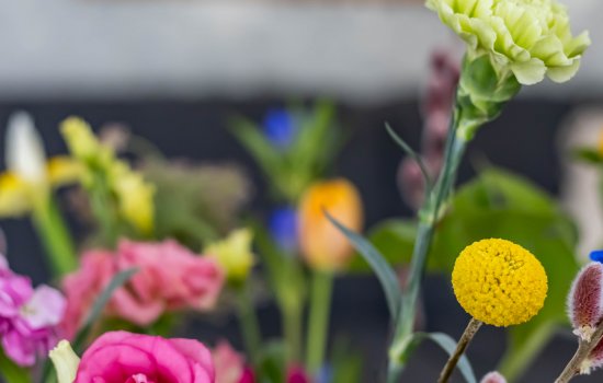 Jukwerd 9, Groningen