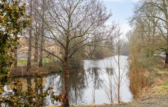 Haydnlaan 1-a, GRONINGEN