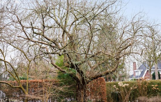 Westerse Drift 40, HAREN GN