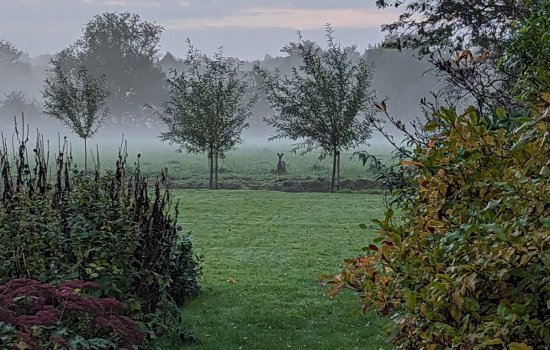 Viaductweg 19, HAREN GN