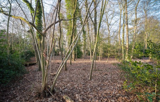 Schelfhorst 16, PATERSWOLDE