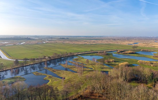 Schelfhorst 16, PATERSWOLDE