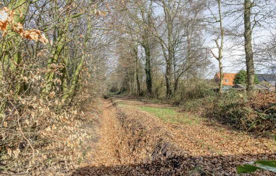 Beneden Veensloot 19, Meeden