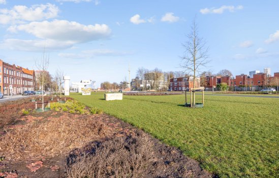 Van Sijsenstraat 8, Groningen