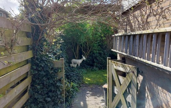 van Starkenborghstraat 1, SCHIERMONNIKOOG