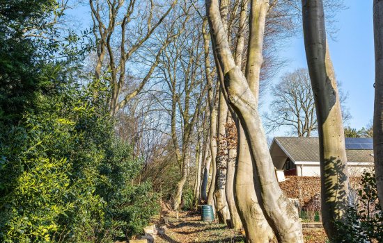 Boerhoorn 6, GLIMMEN