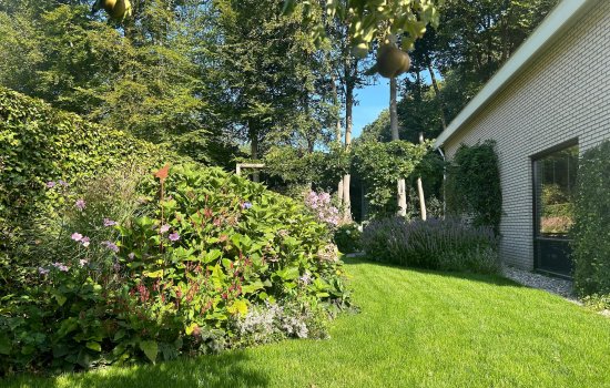 Boerhoorn 6, GLIMMEN